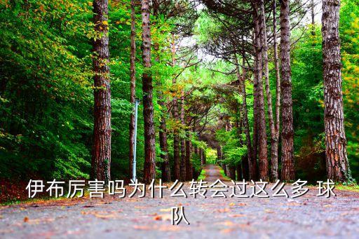 伊布是哪個(gè)球隊(duì)的,巴塞羅那魔鬼球員阿布上演帽子戲法進(jìn)球