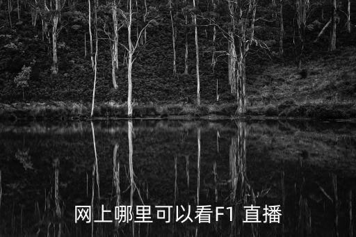 f1在哪個臺直播,f1直播:我國暫時沒有談妥賽事直播