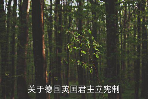 布朗開帝哪個國家,馬克思:德國皇帝主導(dǎo)的國王在議會格局成形