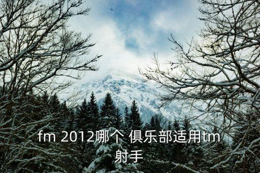 fm 2012哪個(gè) 俱樂(lè)部適用tm射手