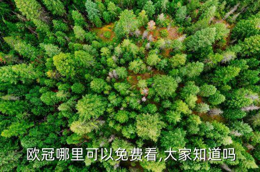哪個(gè)網(wǎng)站轉(zhuǎn)播歐冠,點(diǎn)擊觀看歐冠即可瀏覽全部