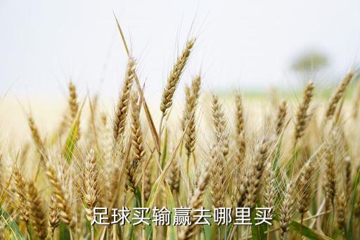 看足球?qū)崟r比分哪個好,足球魔方優(yōu)點:直播畫面清晰延遲很低