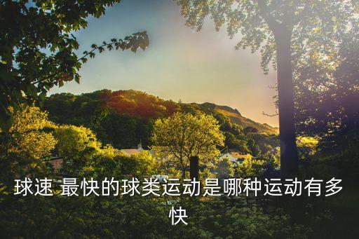 球速 最快的球類運動是哪種運動有多快
