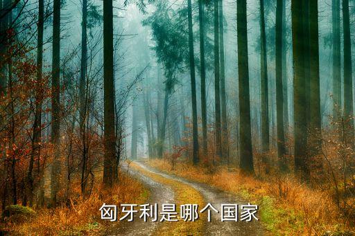  匈牙利是哪個國家