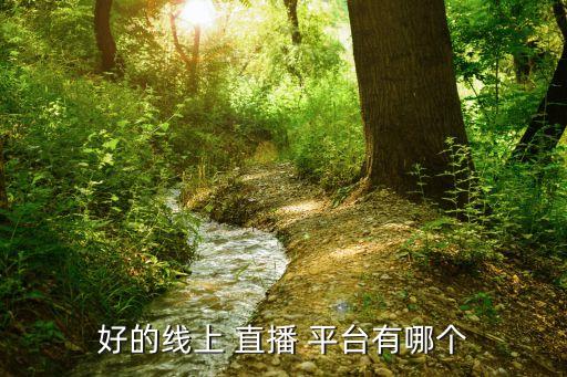 好的線(xiàn)上 直播 平臺(tái)有哪個(gè)