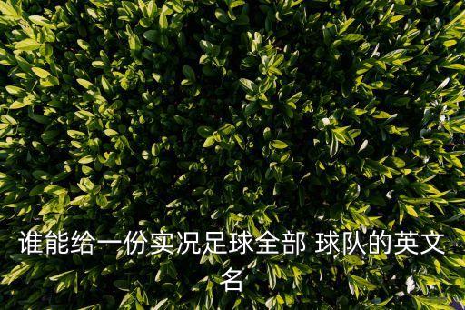 誰(shuí)能給一份實(shí)況足球全部 球隊(duì)的英文名