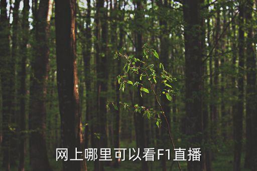 網(wǎng)上哪里可以看F1直播