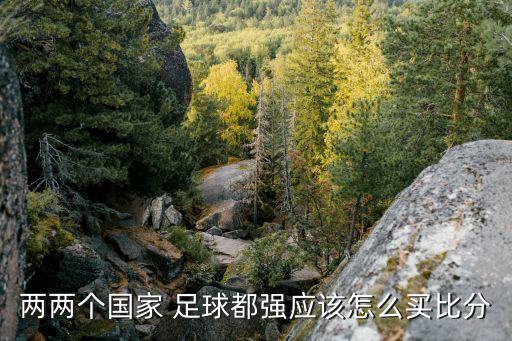 競(jìng)彩足球怎么分辨哪個(gè)隊(duì)怎么買,競(jìng)彩足球:三賭必輸輸贏不償失