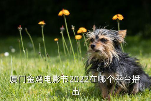 廈門(mén)金雞電影節(jié)2022在哪個(gè)平臺(tái)播出