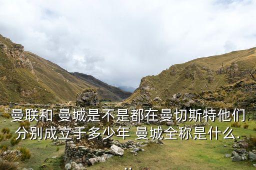 曼城是哪個(gè)球隊(duì),英格蘭聯(lián)賽杯:曼城第二次獲得冠軍