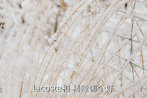 lacoste和 科隆哪個好