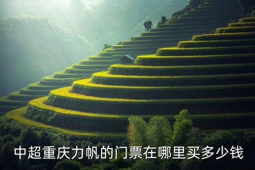  中超重慶力帆的門票在哪里買多少錢