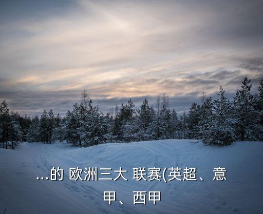 ...的 歐洲三大 聯(lián)賽(英超、意甲、西甲