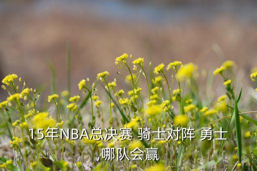 15年NBA總決賽 騎士對(duì)陣 勇士,哪隊(duì)會(huì)贏