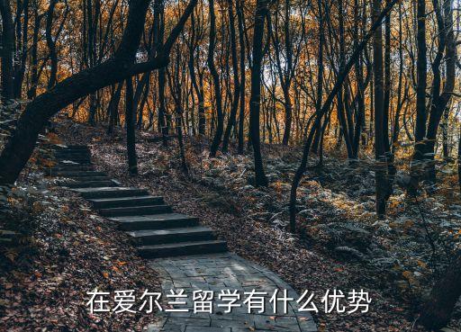 在愛(ài)爾蘭留學(xué)有什么優(yōu)勢(shì)