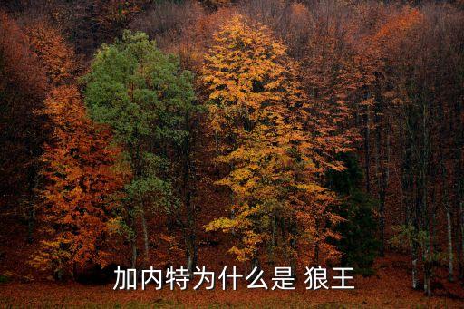 狼王加內(nèi)特是哪個隊(duì)的,狼王加內(nèi)特nba生涯首冠得主