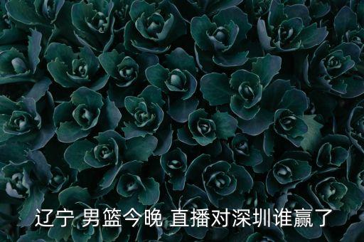 遼寧男籃直播今天直播哪個(gè)臺(tái),遼寧男籃與公婆山東激情對決