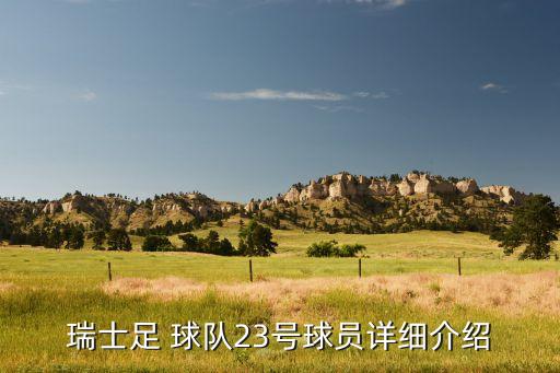 巴塞爾是哪個(gè)球隊(duì),巴塞羅那俱樂(lè)部隊(duì)徽由費(fèi)德勒親手設(shè)計(jì)