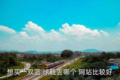 想買一雙籃 球鞋去哪個(gè) 網(wǎng)站比較好