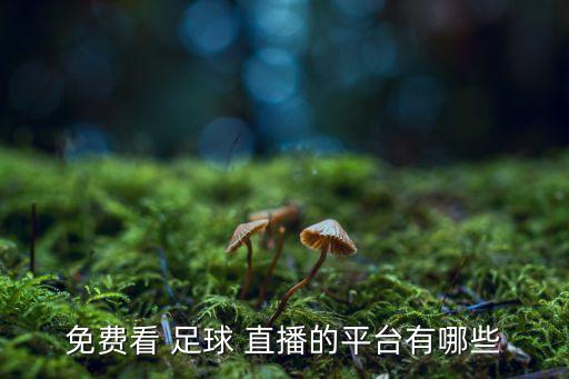 免費看 足球 直播的平臺有哪些