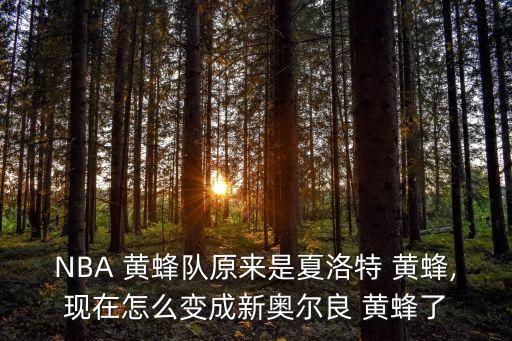 NBA 黃蜂隊(duì)原來是夏洛特 黃蜂,現(xiàn)在怎么變成新奧爾良 黃蜂了