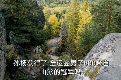  孫楊獲得了 全運(yùn)會男子800米自由泳的冠軍嗎