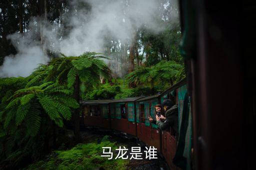 馬龍是中國(guó)哪個(gè)隊(duì),馬龍是中國(guó)乒乓球男隊(duì)隊(duì)員