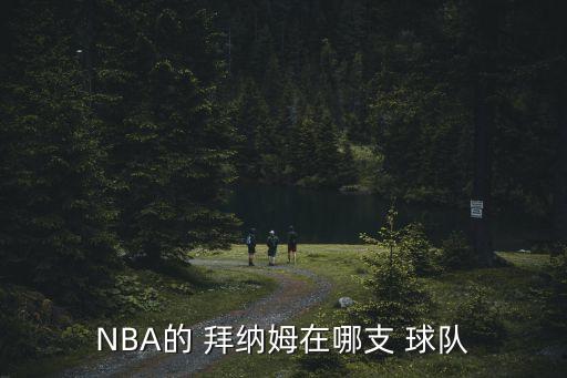 NBA的 拜納姆在哪支 球隊(duì)