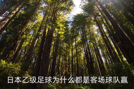 賽事日乙是哪個(gè)國家的,日本職業(yè)乙聯(lián)賽新賽季開局一般
