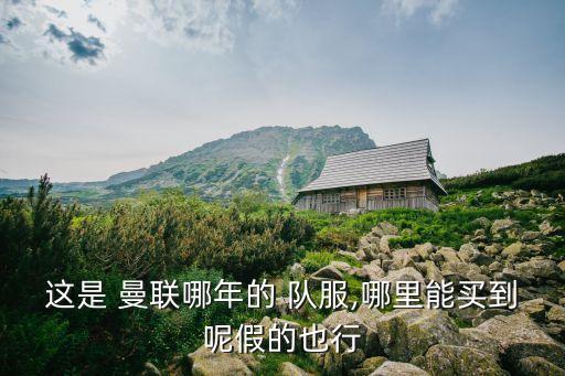這是 曼聯(lián)哪年的 隊(duì)服,哪里能買(mǎi)到呢假的也行