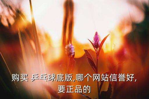 購(gòu)買(mǎi) 乒乓球底版,哪個(gè)網(wǎng)站信譽(yù)好,要正品的