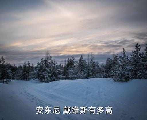安東尼-戴維斯在哪個隊(duì),nba球員安東尼戴維斯