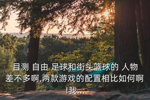 自由足球哪個(gè)特殊人物,街頭籃球新玩法自由球球技術(shù)更出色