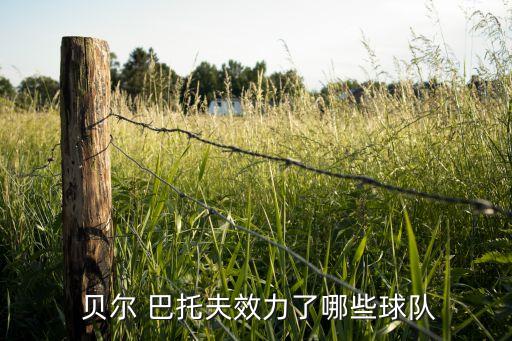 貝爾巴托夫哪個賽季好,皇馬面臨埃托奧老去危機巴薩尋找新選擇