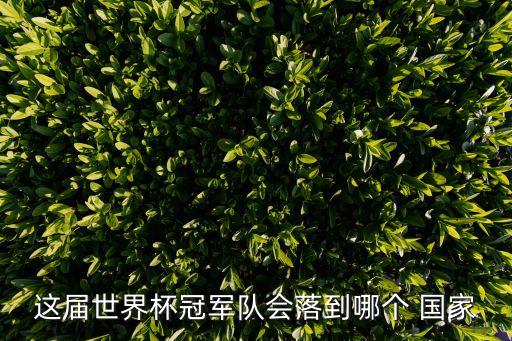 這屆世界杯冠軍隊(duì)會(huì)落到哪個(gè) 國(guó)家