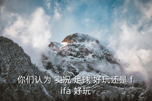 你們認(rèn)為 實(shí)況 足球 好玩還是 fifa 好玩