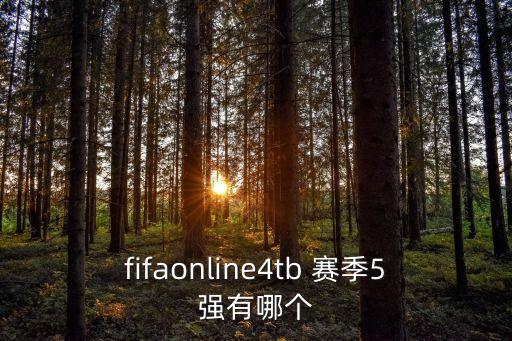 fifaonline4tb 賽季5強(qiáng)有哪個(gè)