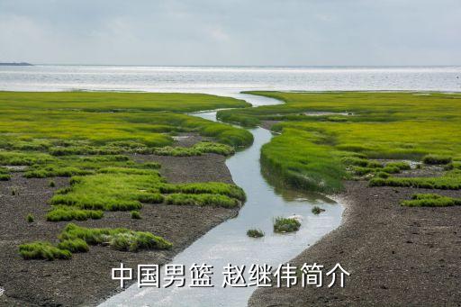 趙繼偉適合nba哪個隊(duì),我國籃球小將趙繼偉的職業(yè)生涯回顧