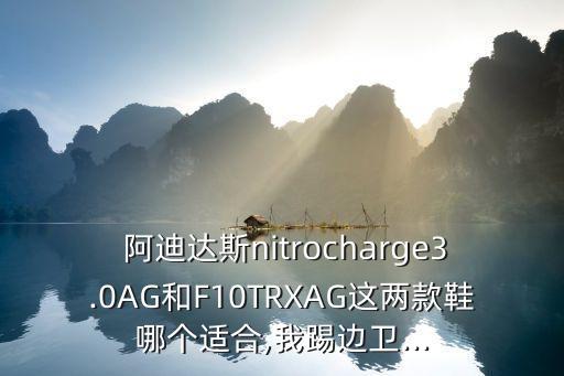  阿迪達(dá)斯nitrocharge3.0AG和F10TRXAG這兩款鞋哪個適合,我踢邊衛(wèi)...