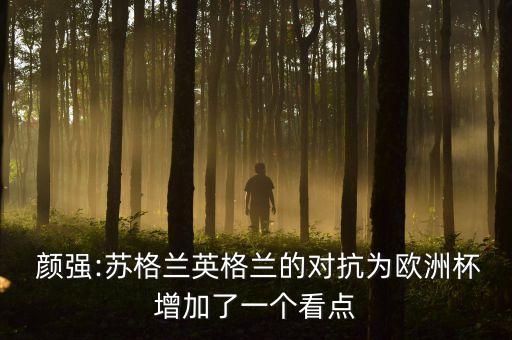 顏強(qiáng)是哪個隊的球迷,中國足協(xié)管不了河南球迷的行為
