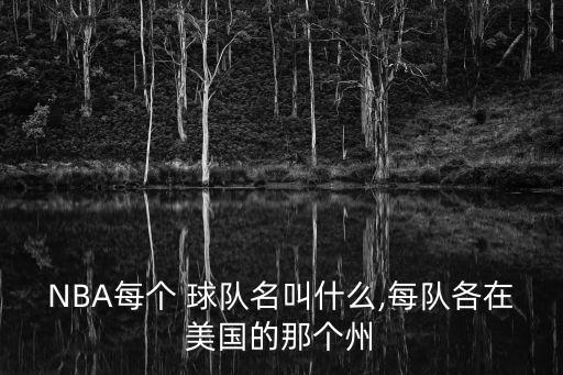 NBA每個(gè) 球隊(duì)名叫什么,每隊(duì)各在美國的那個(gè)州