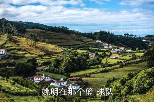  姚明在那個籃 球隊