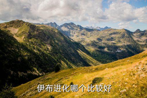 11伊布和15伊布哪個(gè)好,本地最強(qiáng)火鍋黨和伊布斗法