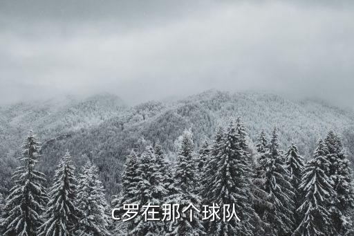 歐冠C羅哪個(gè)隊(duì)幾號,c羅轉(zhuǎn)會(huì)尤文圖斯足球俱樂部