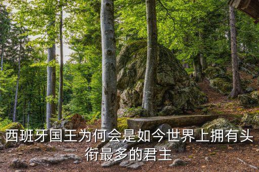 西班牙國(guó)王為何會(huì)是如今世界上擁有頭銜最多的君主