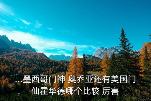 奧喬亞和諾伊爾哪個厲害,足壇消息:諾伊爾是世界最強門將