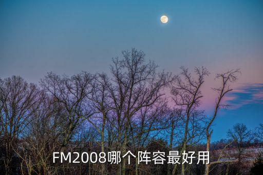 FM2008哪個(gè)陣容最好用