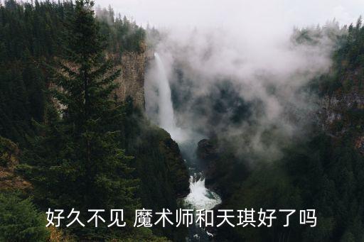 好久不見 魔術(shù)師和天琪好了嗎
