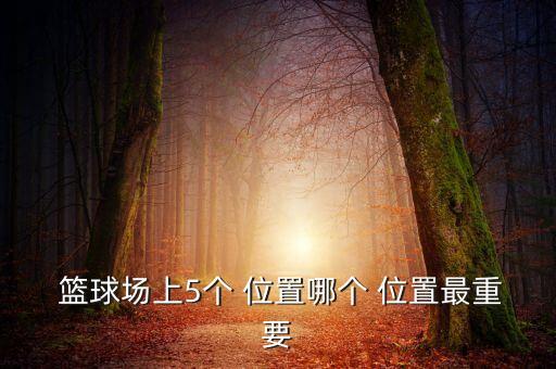  籃球場上5個(gè) 位置哪個(gè) 位置最重要
