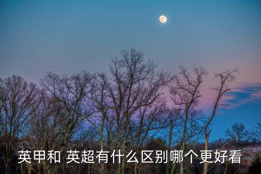 fm英冠和英超哪個好玩,英超聯(lián)賽是怎么回事?